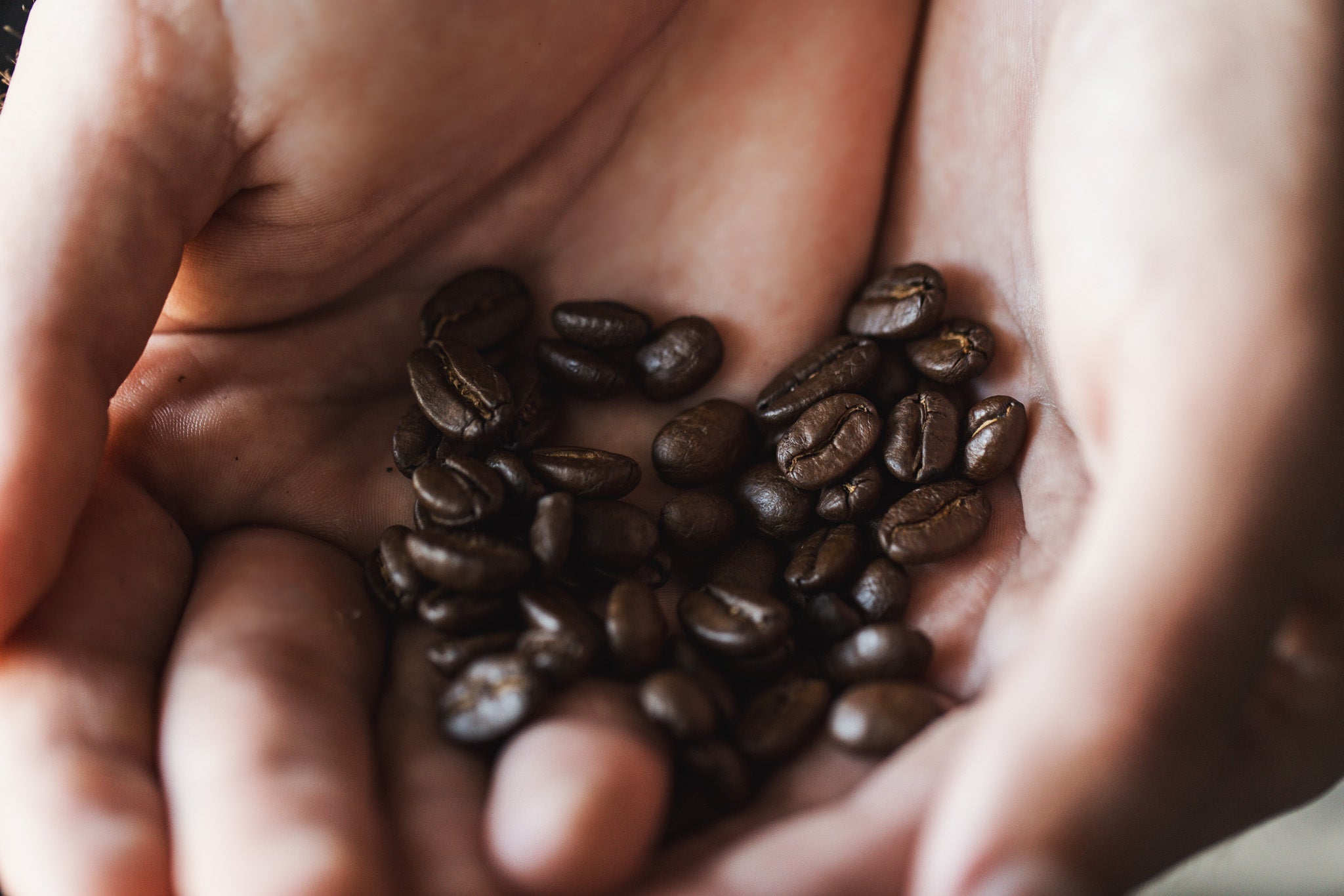What is Coffee?