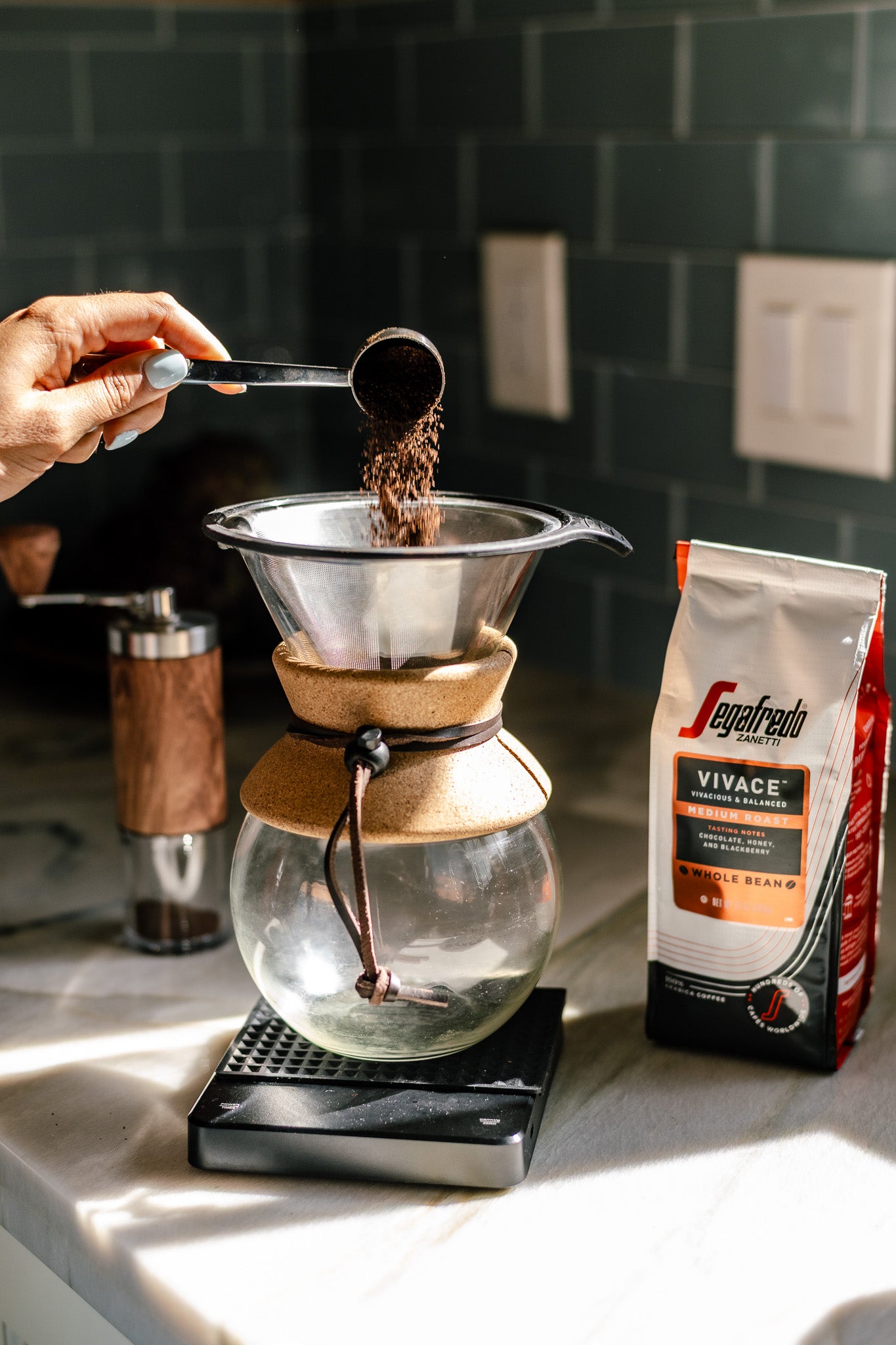 ★ ラテ★ Vivace Medium Roast Coffee – Segafredo